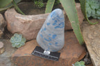 Polished Rare Blue Spinel Spotted Quartz Standing Free Forms x 2 From Madagascar - Toprock Gemstones and Minerals 