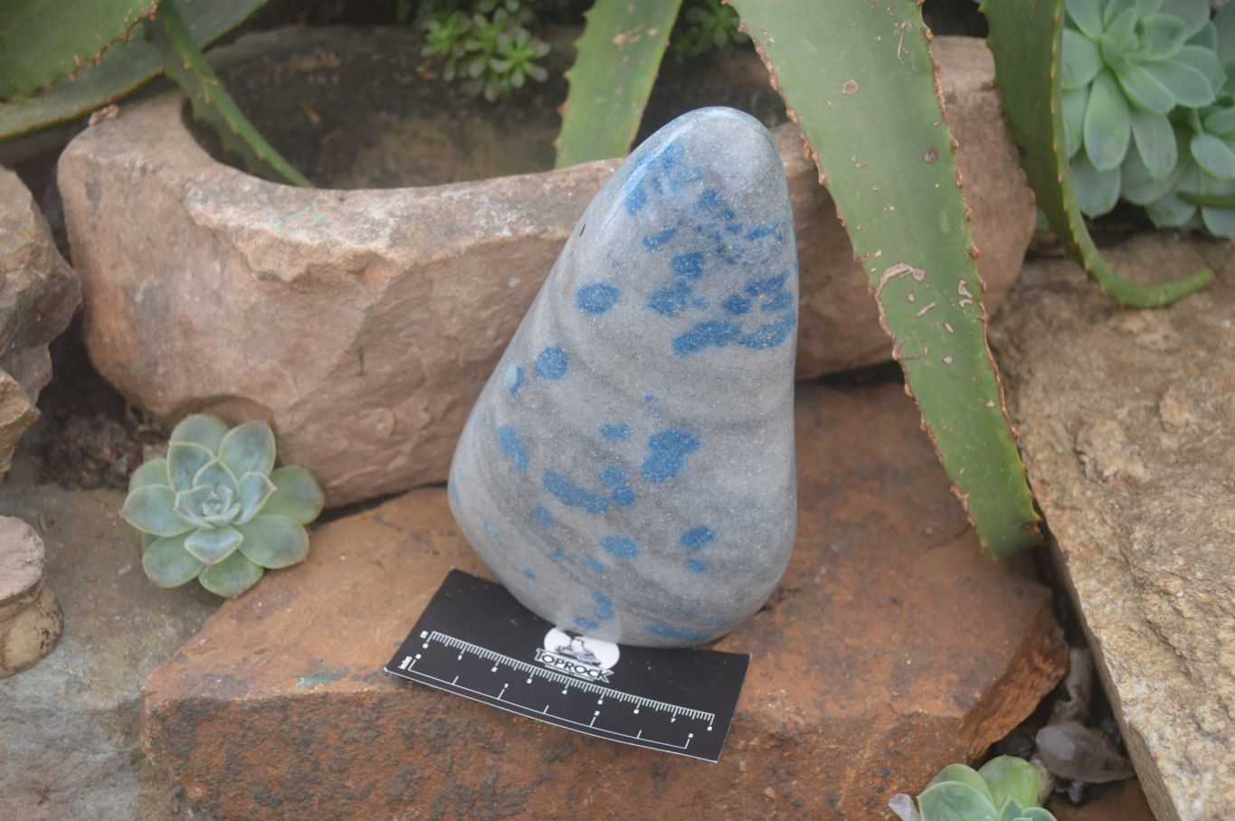 Polished Rare Blue Spinel Spotted Quartz Standing Free Forms x 2 From Madagascar - Toprock Gemstones and Minerals 
