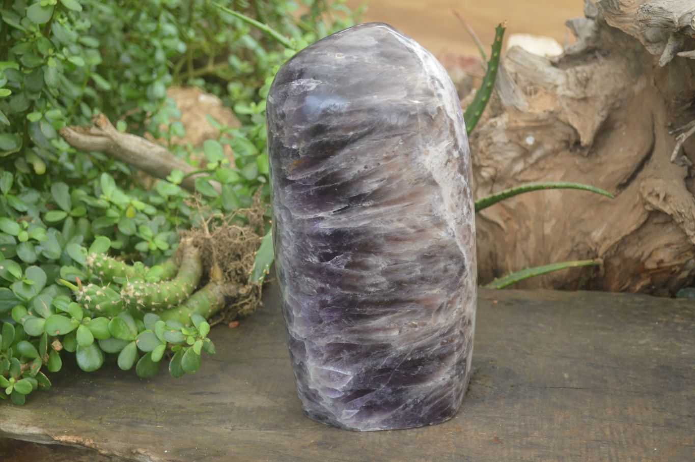 Polished XL Chevron Dream Amethyst Standing Free Form x 1 From Madagascar - Toprock Gemstones and Minerals 