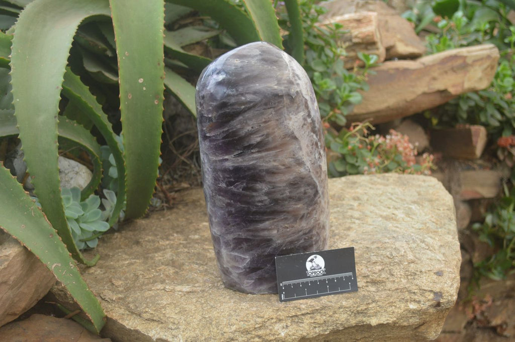 Polished XL Chevron Dream Amethyst Standing Free Form x 1 From Madagascar - Toprock Gemstones and Minerals 