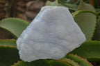 Natural Crystalline Blue Lace Agate Plates x 2 From Namibia - Toprock Gemstones and Minerals 