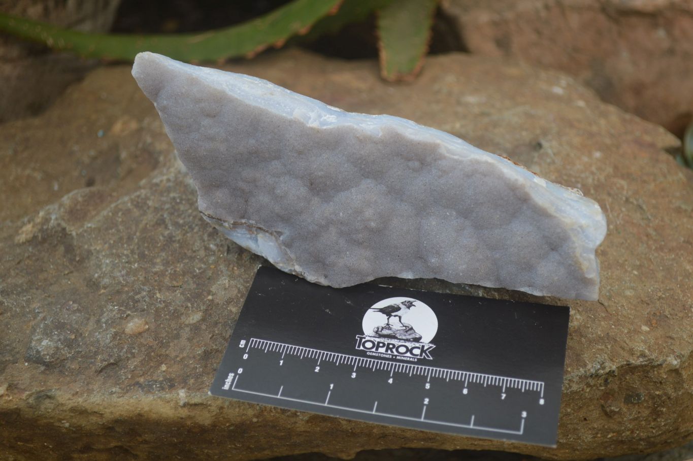 Natural Crystalline Blue Lace Agate Plates x 2 From Namibia - Toprock Gemstones and Minerals 