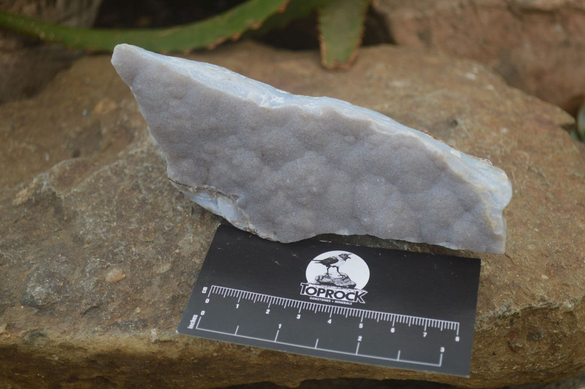 Natural Crystalline Blue Lace Agate Plates x 2 From Namibia - Toprock Gemstones and Minerals 