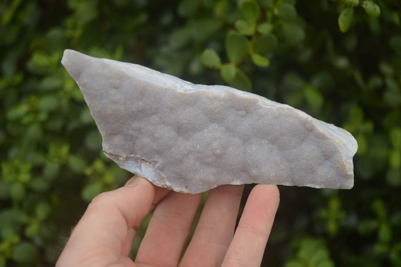 Natural Crystalline Blue Lace Agate Plates x 2 From Namibia - Toprock Gemstones and Minerals 