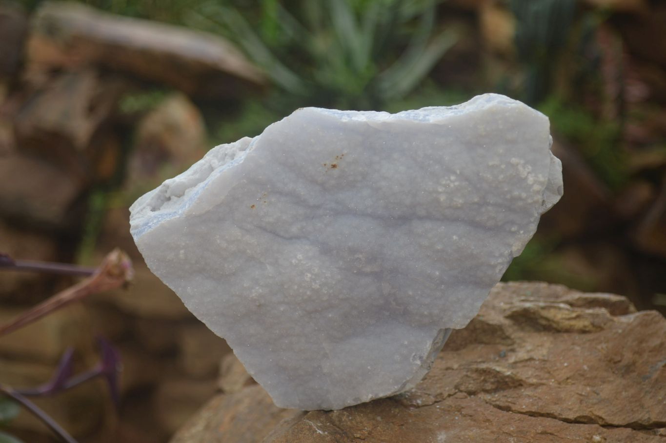 Natural Crystalline Blue Lace Agate Plates x 2 From Namibia - Toprock Gemstones and Minerals 