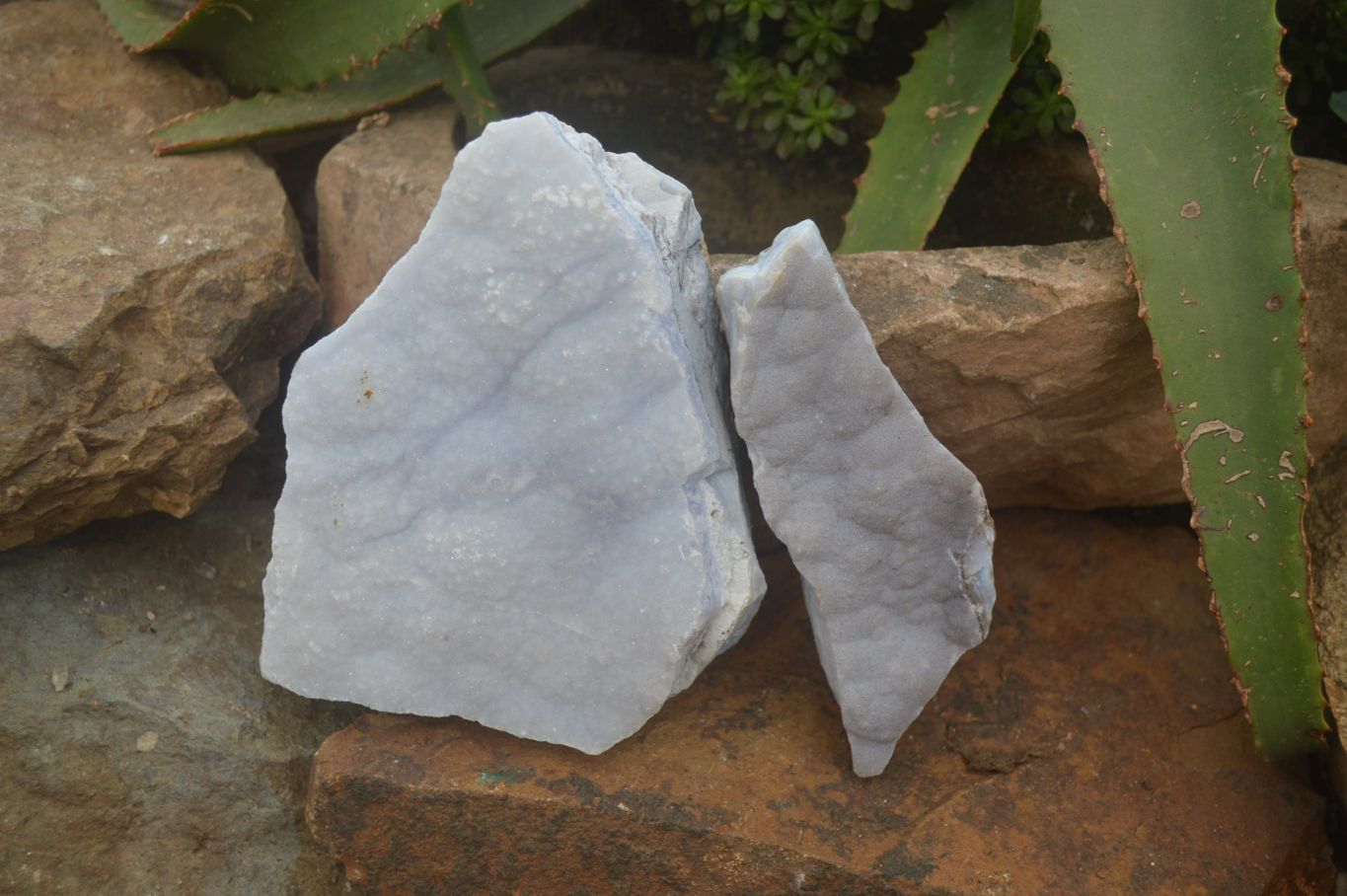 Natural Crystalline Blue Lace Agate Plates x 2 From Namibia - Toprock Gemstones and Minerals 