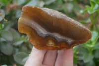 Polished on One Side Red Sashe River Agate Nodules x 6 From Zimbabwe - Toprock Gemstones and Minerals 