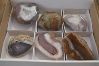 Polished on One Side Red Sashe River Agate Nodules x 6 From Zimbabwe - Toprock Gemstones and Minerals 