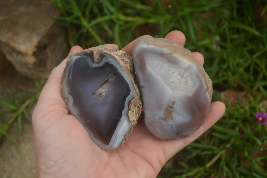 Polished on One Side Red Sashe River Agate Nodules x 6 From Zimbabwe - Toprock Gemstones and Minerals 