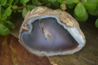 Polished on One Side Red Sashe River Agate Nodules x 6 From Zimbabwe - Toprock Gemstones and Minerals 