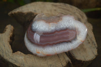 Polished on One Side Red Sashe River Agate Nodules x 6 From Zimbabwe - Toprock Gemstones and Minerals 