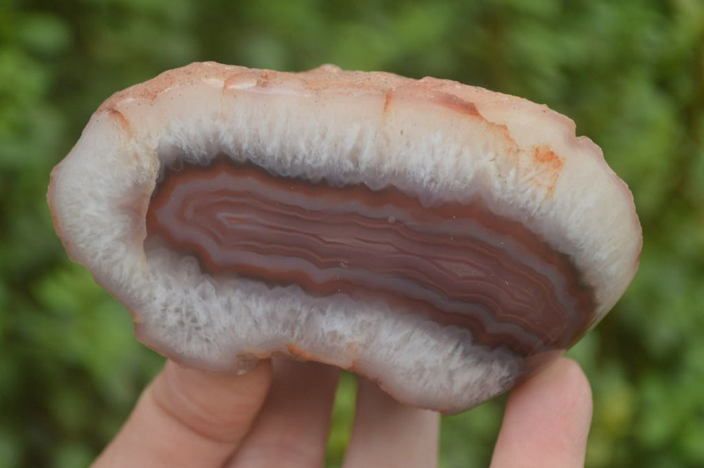 Polished on One Side Red Sashe River Agate Nodules x 6 From Zimbabwe - Toprock Gemstones and Minerals 