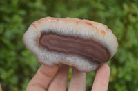 Polished on One Side Red Sashe River Agate Nodules x 6 From Zimbabwe - Toprock Gemstones and Minerals 