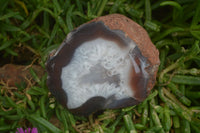 Polished on One Side Red Sashe River Agate Nodules x 6 From Zimbabwe - Toprock Gemstones and Minerals 