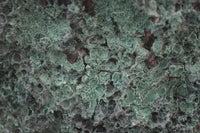 Natural XL Silky Malachite Specimen x 1 From Kasompe, Congo - Toprock Gemstones and Minerals 