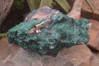Natural XL Silky Malachite Specimen x 1 From Kasompe, Congo - Toprock Gemstones and Minerals 