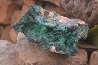 Natural XL Silky Malachite Specimen x 1 From Kasompe, Congo - Toprock Gemstones and Minerals 