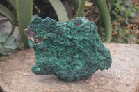 Natural XL Silky Malachite Specimen x 1 From Kasompe, Congo - Toprock Gemstones and Minerals 