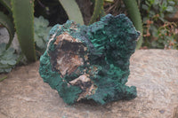 Natural XL Silky Malachite Specimen x 1 From Kasompe, Congo - Toprock Gemstones and Minerals 