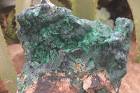 Natural XL Silky Malachite Specimen x 1 From Kasompe, Congo - Toprock Gemstones and Minerals 