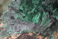 Natural XL Silky Malachite Specimen x 1 From Kasompe, Congo - Toprock Gemstones and Minerals 