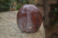 Polished Red Podocarpus Petrified Wood Standing Free Forms x 3 From Mahajanga, Madagascar - Toprock Gemstones and Minerals 