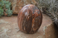 Polished Red Podocarpus Petrified Wood Standing Free Forms x 3 From Mahajanga, Madagascar - Toprock Gemstones and Minerals 