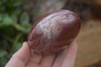 Polished Red Podocarpus Petrified Wood Standing Free Forms x 3 From Mahajanga, Madagascar - Toprock Gemstones and Minerals 