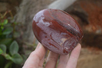 Polished Red Podocarpus Petrified Wood Standing Free Forms x 3 From Mahajanga, Madagascar - Toprock Gemstones and Minerals 