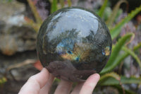 Polished Labradorite Sphere with a Rosewood Stand x 1 From Tulear, Madagascar - Toprock Gemstones and Minerals 