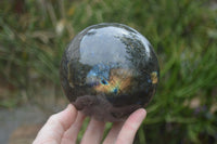 Polished Labradorite Sphere with a Rosewood Stand x 1 From Tulear, Madagascar - Toprock Gemstones and Minerals 