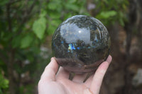 Polished Labradorite Sphere with a Rosewood Stand x 1 From Tulear, Madagascar - Toprock Gemstones and Minerals 
