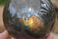 Polished Labradorite Sphere with a Rosewood Stand x 1 From Tulear, Madagascar - Toprock Gemstones and Minerals 