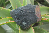 Natural Libethenite Crystals On Dolomite Matrix Specimens x 2 From Shituru, Congo