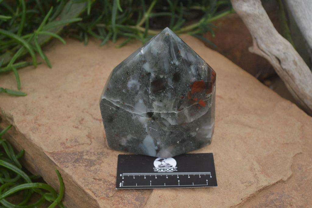 Polished Bloodstone Point-Prisms x 2 From Swaziland - Toprock Gemstones and Minerals 