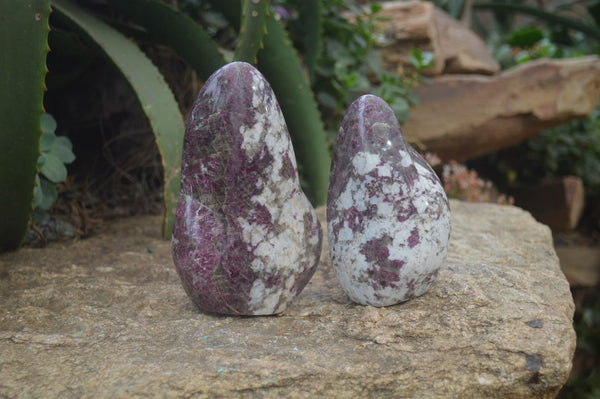 Polished Rubellite Pink Tourmaline Standing Free Forms x 2 From Ambatondrazaka, Madagascar - Toprock Gemstones and Minerals 