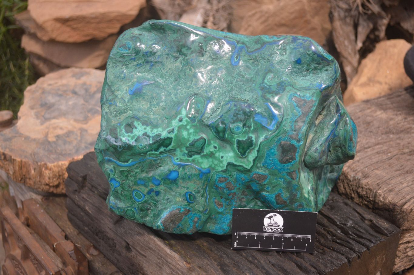 Polished Extra Large Malacolla Standing Free Form x 1 From Kalukundi Mine, Congo - Toprock Gemstones and Minerals 