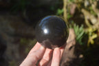 Polished Black Basalt Sphere-Ball x 3 From Antsirabe, Madagascar - Toprock Gemstones and Minerals 
