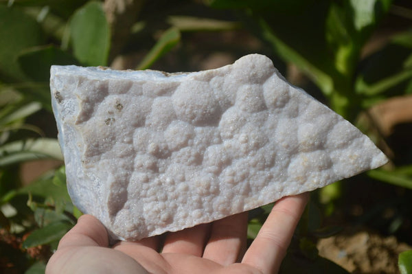 Natural Crystalline Blue Lace Agate Plates x 2 From Namibia - Toprock Gemstones and Minerals 