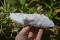 Natural Crystalline Blue Lace Agate Plates x 2 From Namibia - Toprock Gemstones and Minerals 