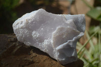 Natural Crystalline Blue Lace Agate Plates x 2 From Namibia - Toprock Gemstones and Minerals 