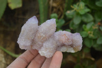 Natural Ametrine Spirit Quartz Clusters x 6 From Boekenhouthoek, South Africa
