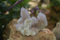 Natural Ametrine Spirit Quartz Clusters x 6 From Boekenhouthoek, South Africa