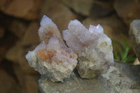 Natural Ametrine Spirit Quartz Clusters x 6 From Boekenhouthoek, South Africa