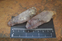 Natural Smokey Amethyst Crystals x 13 From Chiredzi, Zimbabwe - Toprock Gemstones and Minerals 