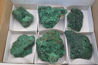 Natural Silky Malachite Specimens x 6 From Kasompe, Congo - Toprock Gemstones and Minerals 