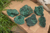 Natural Silky Malachite Specimens x 6 From Kasompe, Congo - Toprock Gemstones and Minerals 