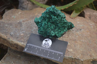 Natural Silky Malachite Specimens x 6 From Kasompe, Congo - Toprock Gemstones and Minerals 