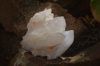 Natural Castle Quartz Crystals x 6 From Madagascar - Toprock Gemstones and Minerals 