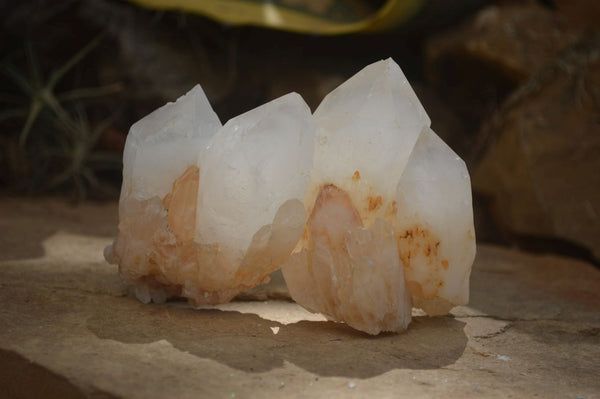 Natural Castle Quartz Crystals x 6 From Madagascar - Toprock Gemstones and Minerals 